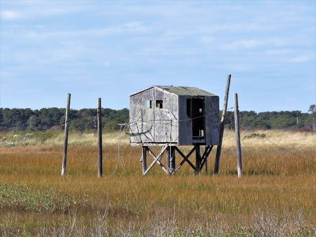 Victor D'Amico Institute of Art